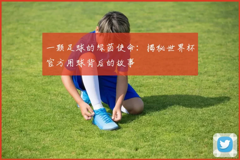 一颗足球的绿茵使命:揭秘世界杯官方用球背后的故事