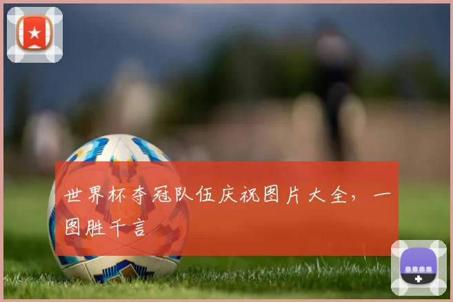 世界杯夺冠队伍庆祝图片大全，一图胜千言