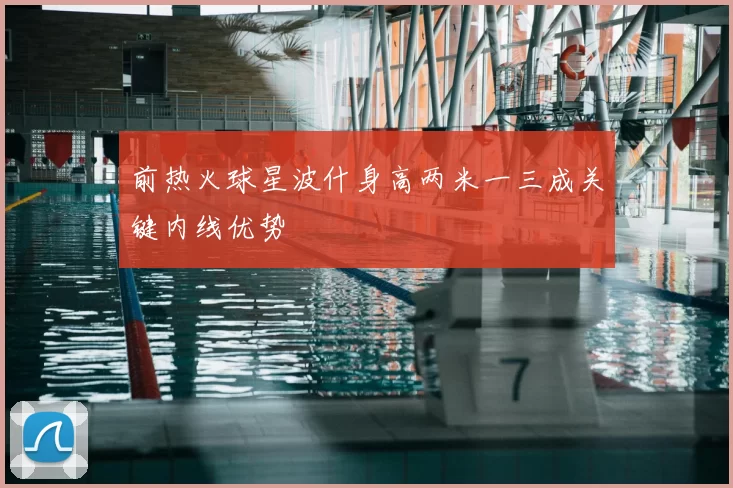 前热火球星波什身高两米一三成关键内线优势