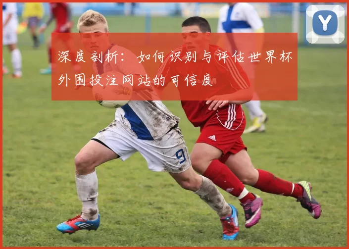 深度剖析:如何识别与评估世界杯外围投注网站的可信度