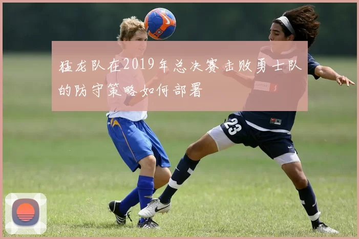 猛龙队在2019年总决赛击败勇士队的防守策略如何部署