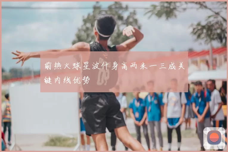 前热火球星波什身高两米一三成关键内线优势