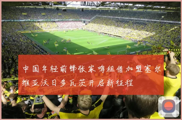 中国年轻前锋张家鸣租借加盟塞尔维亚沃日多瓦茨开启新征程