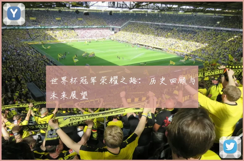 世界杯冠军荣耀之路：历史回顾与未来展望