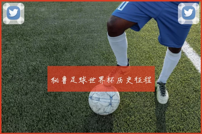 秘鲁足球世界杯历史征程
