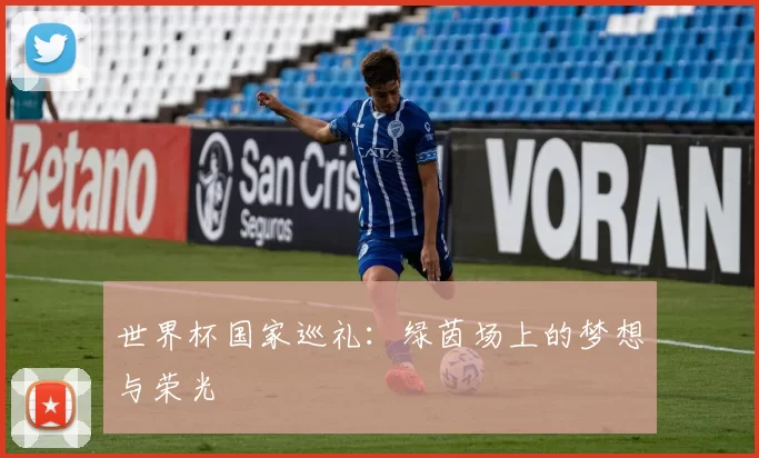 世界杯国家巡礼:绿茵场上的梦想与荣光