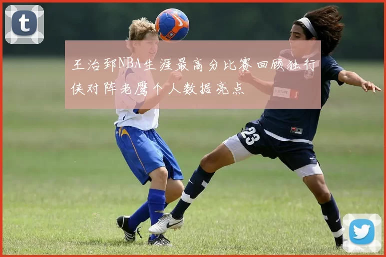 王治郅NBA生涯最高分比赛回顾独行侠对阵老鹰个人数据亮点