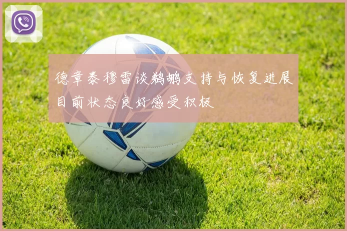 德章泰穆雷谈鹈鹕支持与恢复进展目前状态良好感受积极