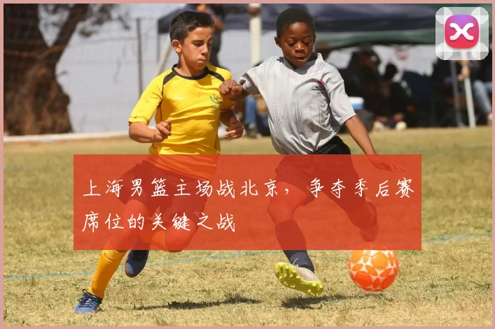 上海男篮主场战北京，争夺季后赛席位的关键之战