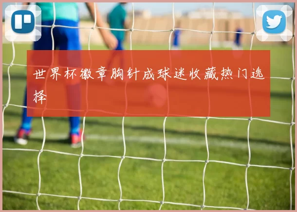 世界杯徽章胸针成球迷收藏热门选择