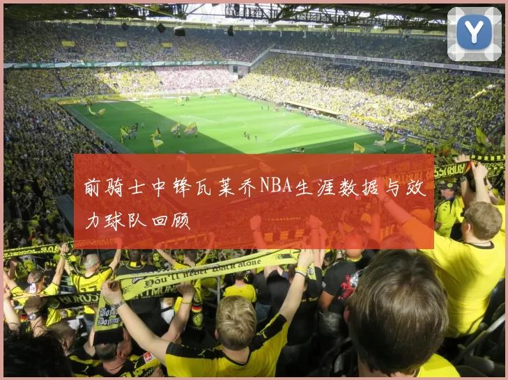 前骑士中锋瓦莱乔NBA生涯数据与效力球队回顾