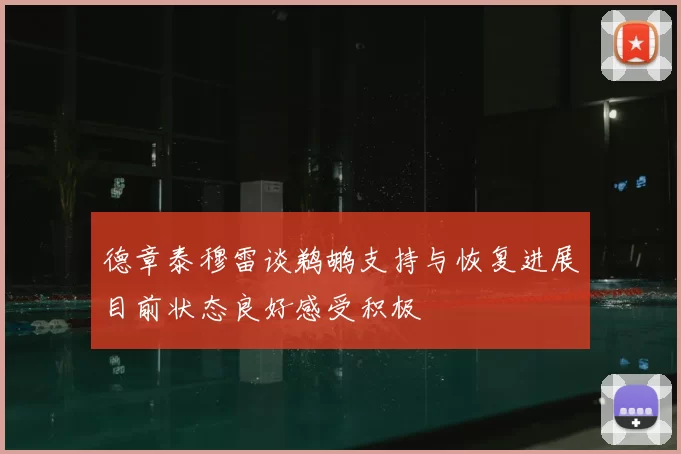 德章泰穆雷谈鹈鹕支持与恢复进展目前状态良好感受积极