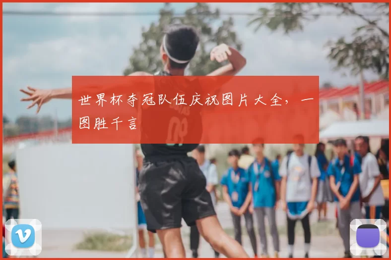世界杯夺冠队伍庆祝图片大全，一图胜千言