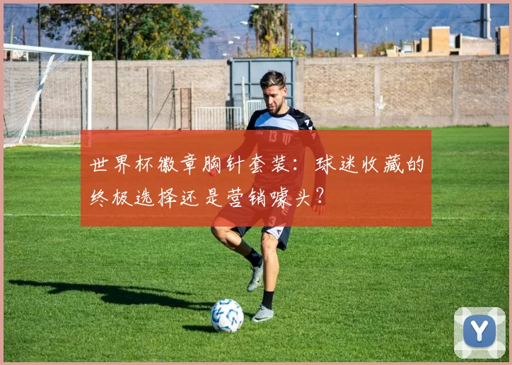世界杯徽章胸针套装:球迷收藏的终极选择还是营销噱头?