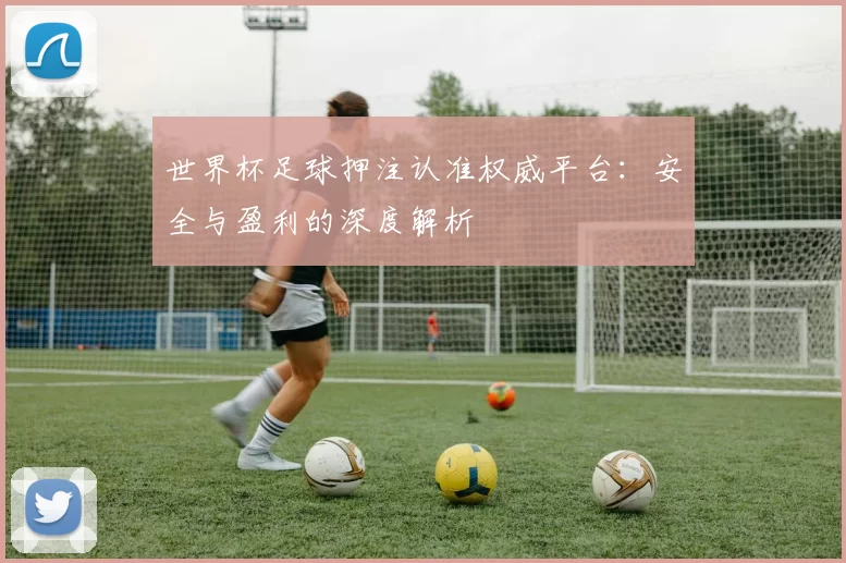 世界杯足球押注认准权威平台：安全与盈利的深度解析