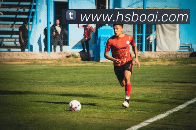 华体官网登录发展历程